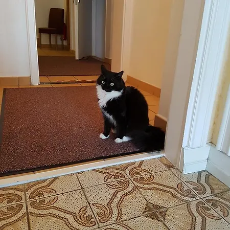 Giesing Vendégház 3*